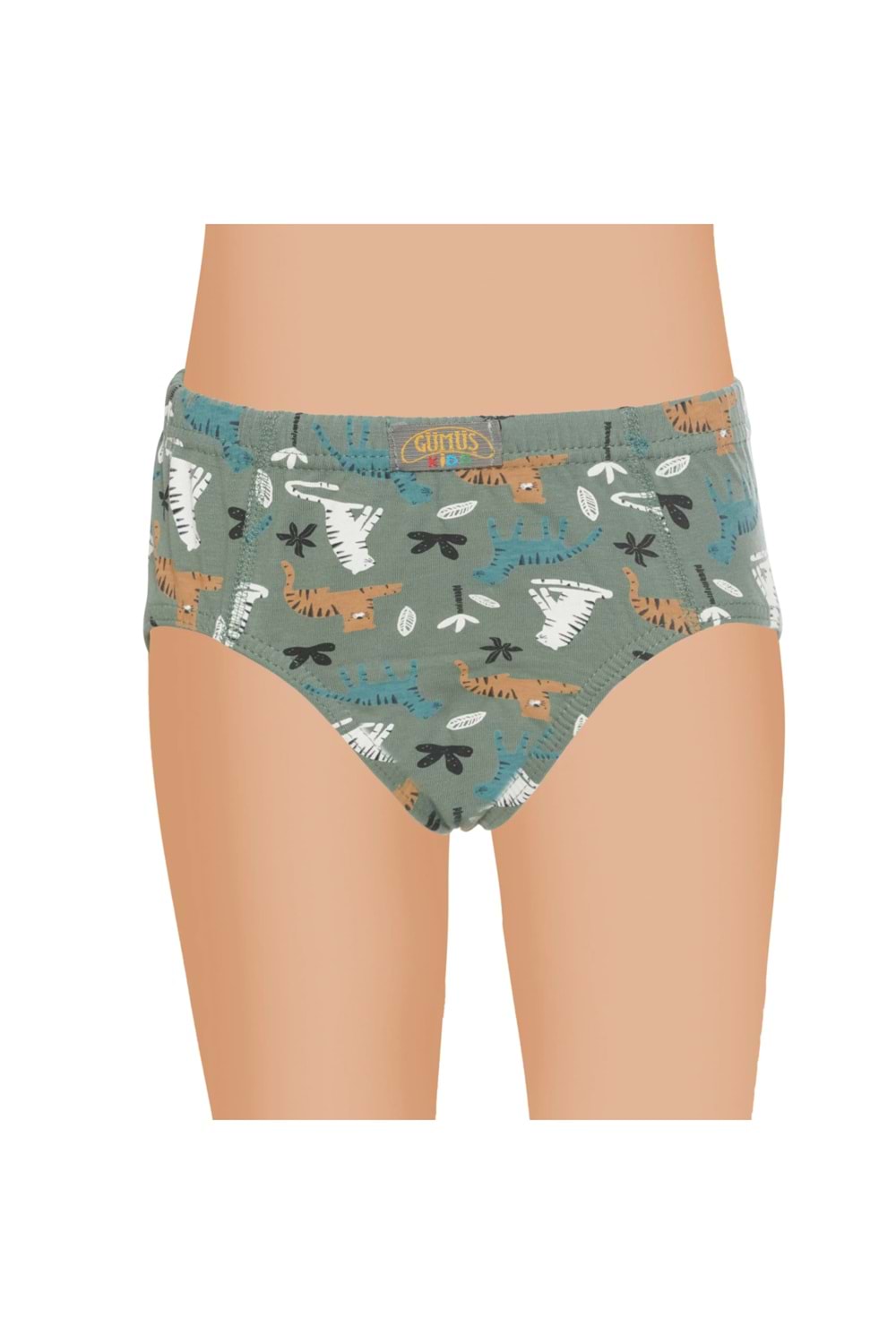 Erkek Çocuk Desenli Slip