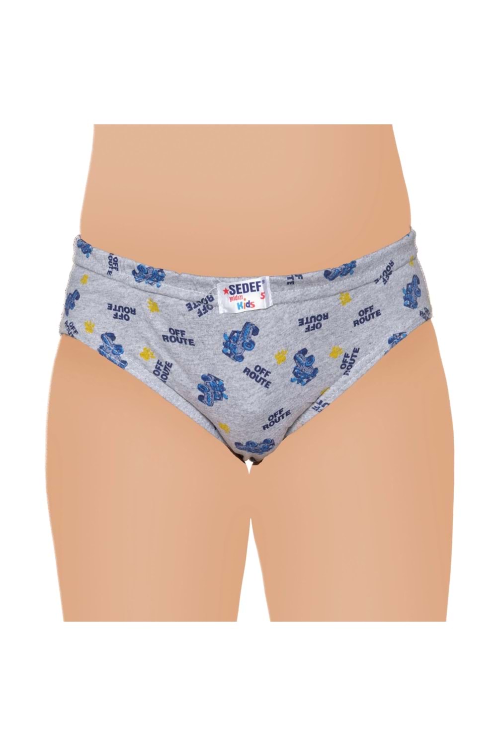 Erkek Çocuk Penye Slip Asorti