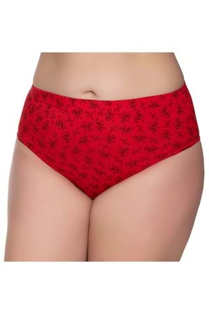 Kadın Penye Slip Emprime