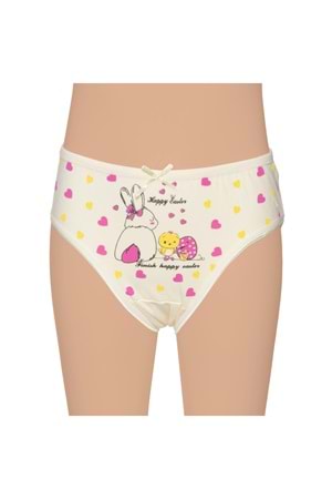 Kız Çocuk Likralı Külot Asorti